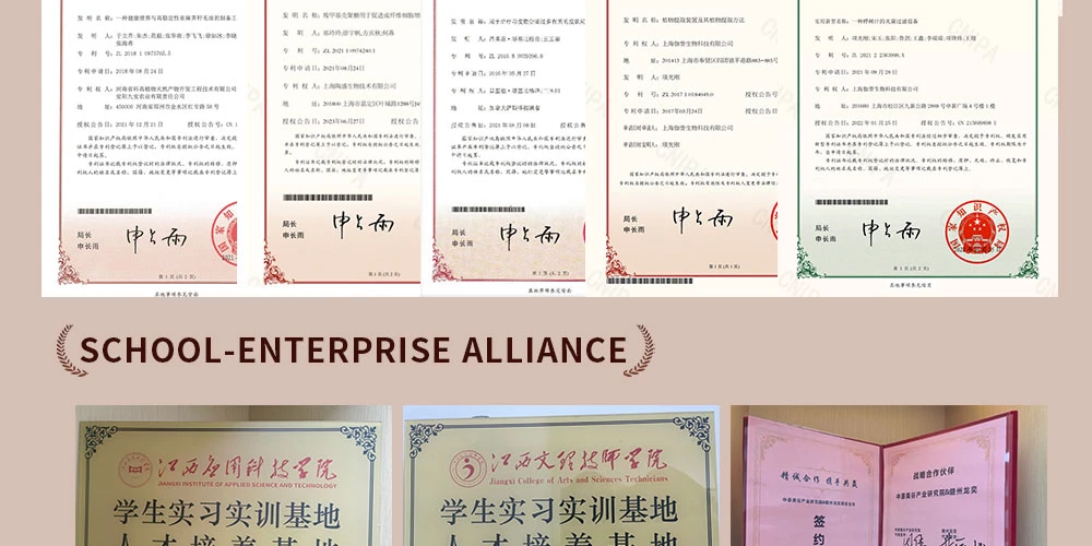 Powder-Pressing-Base-Material10 Powder-Pressing-Base-Material10