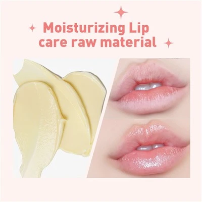 Moisturizing Lip Care Diy